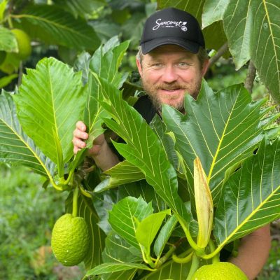 Breadfruit