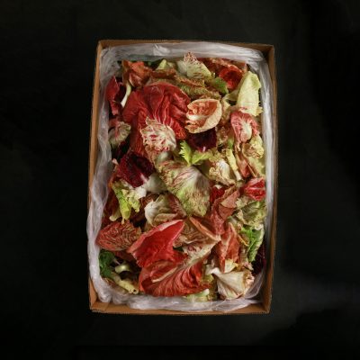 Mixed Radicchio