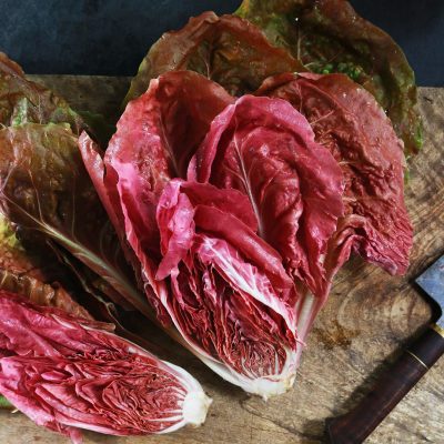 Radicchio Rosa